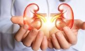 علائم سنگ کلیه چیست و چه افرادی بیشتر در معرض ابتلا هستند؟