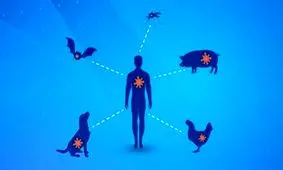 اگر با حیوانات در ارتباط هستید، مراقب این بیماری‌های خطرناک باشید