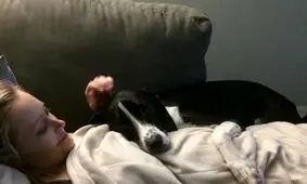  ارتباط عاطفی سگ‌ها و صاحبانشان/ زیبایی هایی از رابطه با بهترین دوست انسان ها/ عکس
