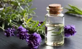 داروهای گیاهی می‌توانند عارضه داشته باشند/ داروهای گیاهی برای مصرف کودکان و مادران باردار و شیرده منع مصرف دارد
