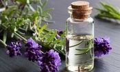 داروهای گیاهی می‌توانند عارضه داشته باشند/ داروهای گیاهی برای مصرف کودکان و مادران باردار و شیرده منع مصرف دارد
