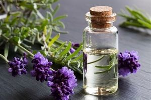 داروهای گیاهی می‌توانند عارضه داشته باشند/ داروهای گیاهی برای مصرف کودکان و مادران باردار و شیرده منع مصرف دارد
