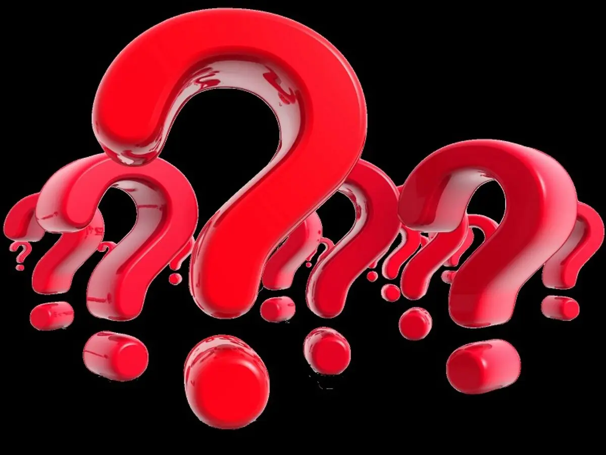  آیا در تصویر پرنده پنهان را می بینید؟