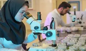 ۱۸ ایرانی جزء پر استنادترین دانشمندان زن دنیا هستند 