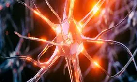 کاهش علائم پارکینسون با «پیوند مدفوع»

