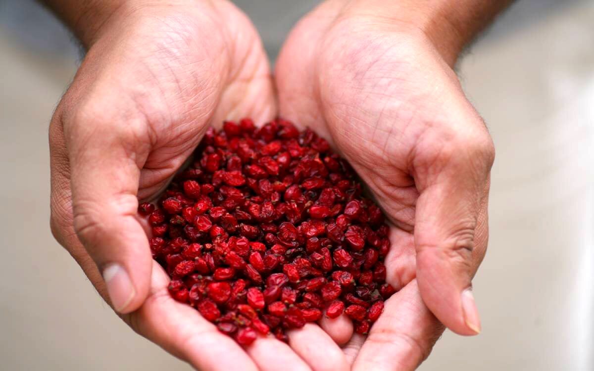 گنجینه‌ای سرخ با خواص شگفت‌انگیز