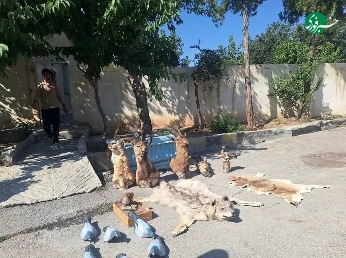انهدام باند بزرگ شکارچیان در چهارمحال و بختیاری