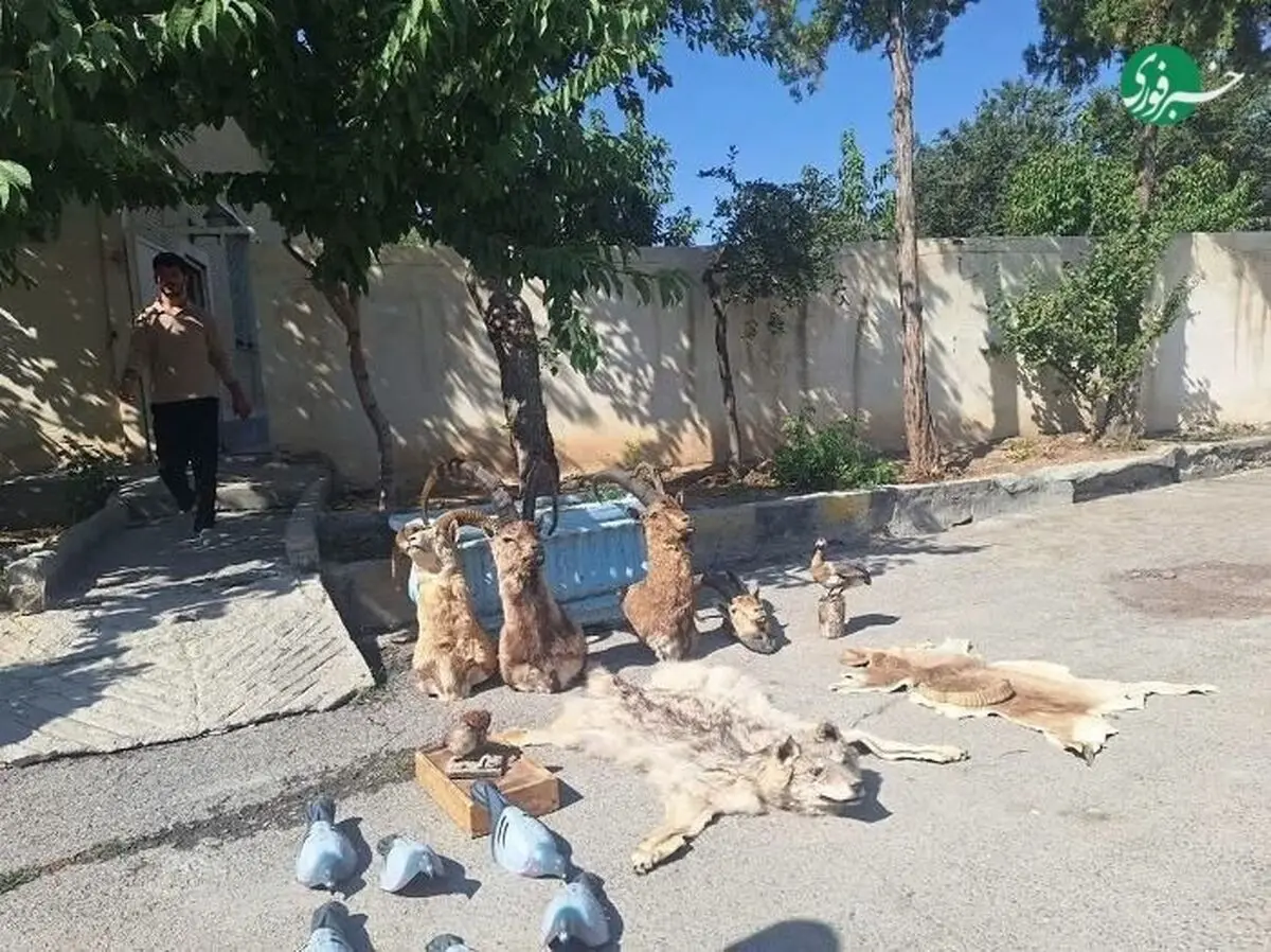 انهدام باند بزرگ شکارچیان در چهارمحال و بختیاری
