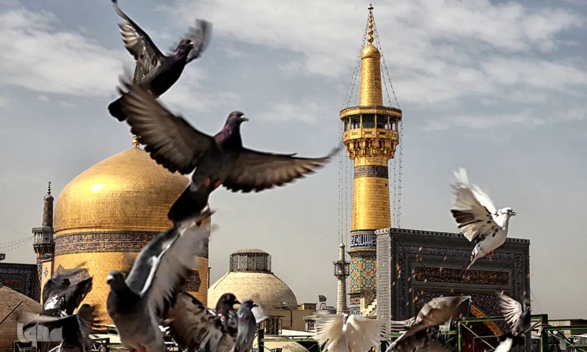 برای اولین بار؛ تمثال مبارک علیبنموسیالرضا (ع)