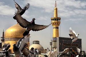 برای اولین بار؛ تمثال مبارک علی‌بن‌موسی‌الرضا (ع) 