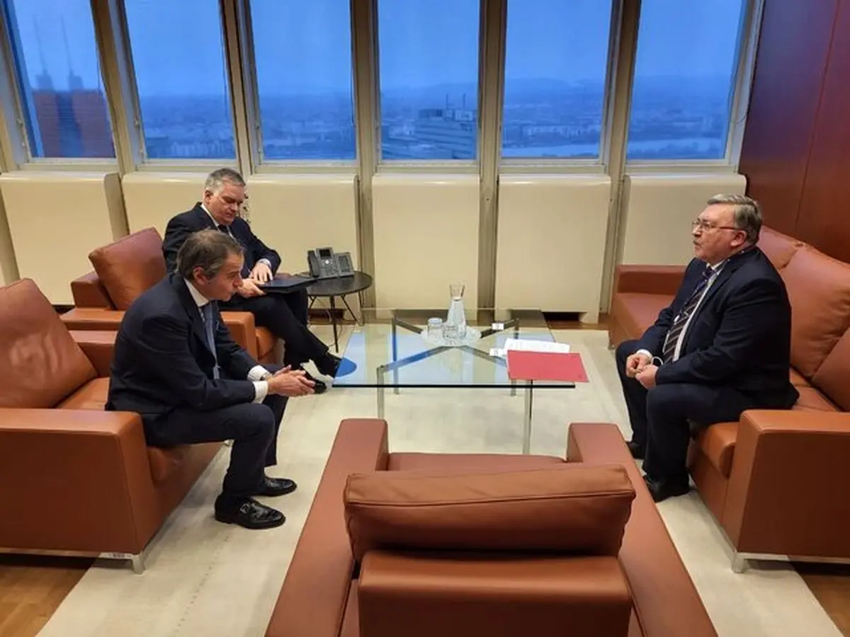 دیدار نماینده روسیه در آژانس با گروسی درباره وضعیت خلیج فارس

