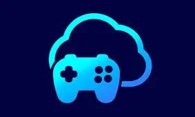 پرانیکس چه مشکلاتی داشت؟
