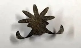 ربات های نواری که می‌توانند زخم معده را درمان کنند