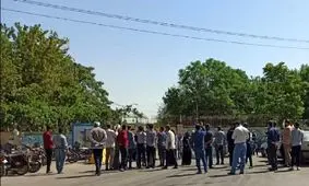 قتل عام ۱۰۰۰ درخت در مشهد