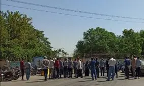 قتل عام ۱۰۰۰ درخت در مشهد