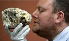 کشف گنج ۵۰۰ هزار یورویی از شکم نهنگ