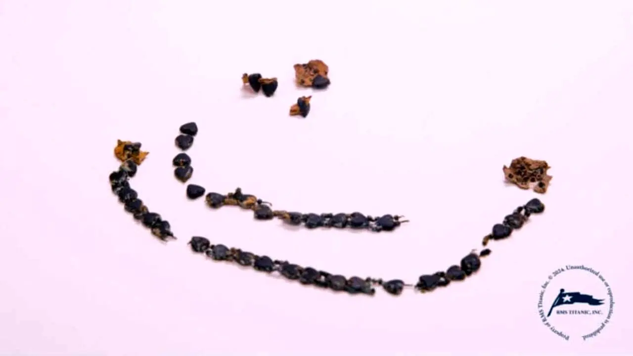 گردنبند یکی از مسافران تایتانیک پس از سال‌ها از میان بقایای کشتی پیدا شد - دیجینوی