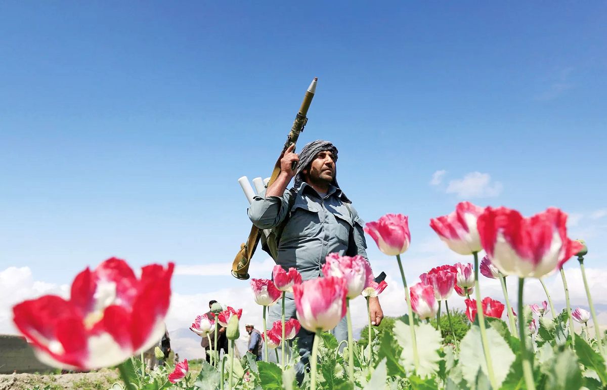 تندروهایی که دیگر موادفروش نیستند/ طالبان چطور تجارت هروئین سازمان سیا در افغانستان را نابود کرد؟