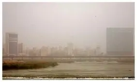 قائم پناه: اگر آلودگی هوا بیشتر از این شود، کشتار می‌کند