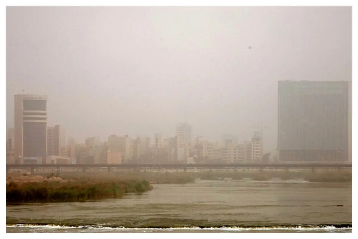 قائم پناه: اگر آلودگی هوا بیشتر از این شود، کشتار می‌کند