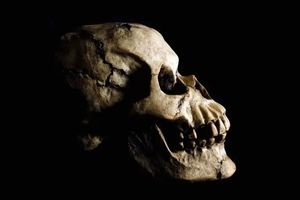 نگاهی تازه به تکامل انسان؛ فسیل‌های باستانی ۲.۸ میلیون ساله در اتیوپی کشف شد

