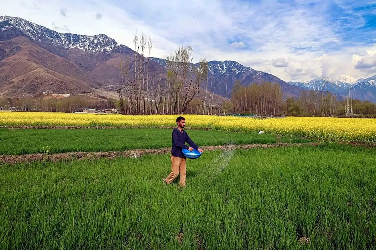 مجله تایم: ادامه جنگ در خلیج فارس جهان را به گرسنگی می‌کشاند