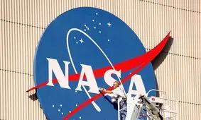 ناسا موش‌ها را به فضا فرستاد و اتفاق ترسناکی برای استخوان‌هایشان افتاد

