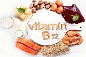 اینفوگرافیک/ منابع سرشار از ویتامین B۱۲ کدامند؟