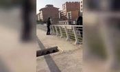 خودکشی دختر 18 ساله از پل هوایی ناکام ماند/ ویدئو