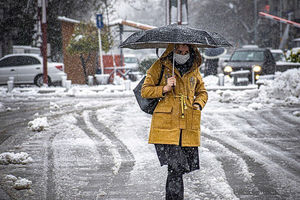 بارش برف و باران در غالب نقاط کشور