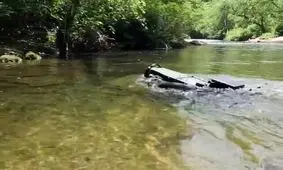 سگ های رباتیک شناگر می‌شوند