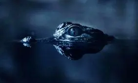 پادشاه مخوف رودخانه تارکولس/ ویدئو