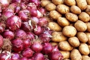 قیمت سیب زمینی و پیاز در بازار ارزان شد