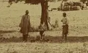 سفر در زمان؛ استراحت زیر درختان زیتون در رودبار؛ 140 سال قبل