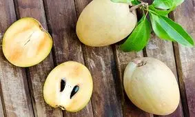 معرفی خواص چیکو؛ میوه گرمسیری خوشمزه و پرکالری