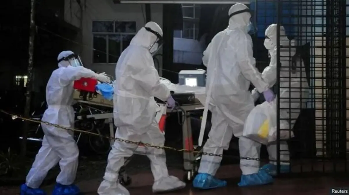 ویروس «نیپا» چیست و چقدر باید نگران آن باشیم؟