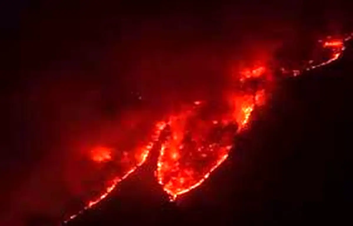  جنگل هیرکانی در آتش می‌سوزد/ ویدئو