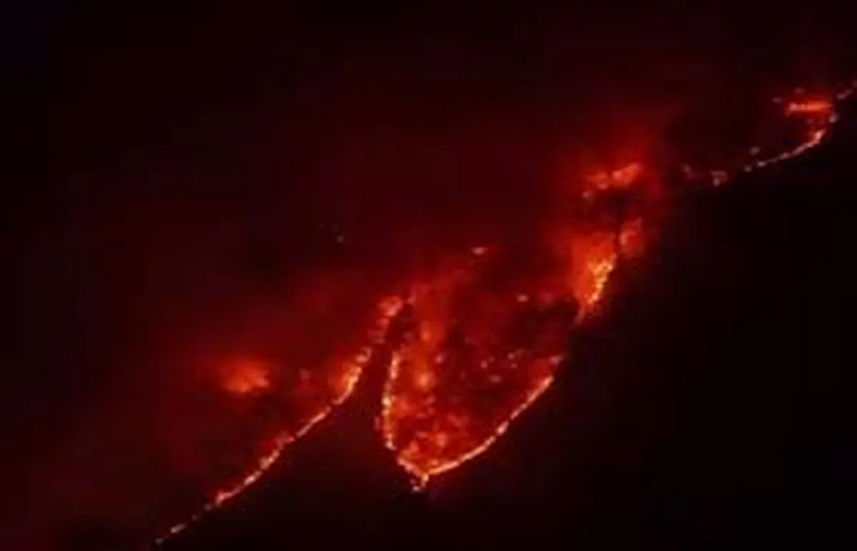  جنگل هیرکانی در آتش می‌سوزد/ ویدئو