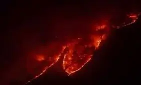  جنگل هیرکانی در آتش می‌سوزد/ ویدئو