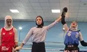 معرفی برترین‌های موی‌تای کشور