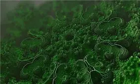 کشف باکتری دریایی جدیدی که هیدروژن انبوه تولید می‌کند


