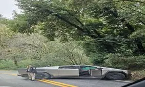 اولین تصادف غول تسلا در کالیفرنیا/ ویدئو