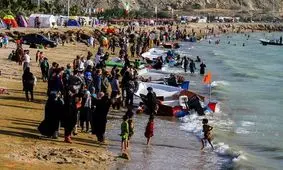 عروس دریایی ۶ مسافر نوروزی چابهار را روانه بیمارستان کرد