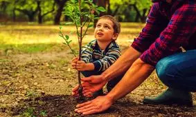 ۷ درخت میوه که می‌توانید در فصل پاییز بکارید
