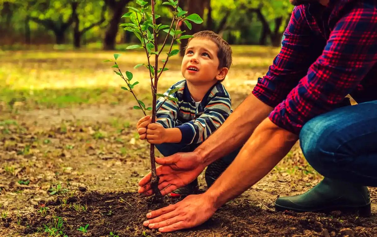 ۷ درخت میوه که می‌توانید در فصل پاییز بکارید
