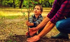 ۷ درخت میوه که می‌توانید در فصل پاییز بکارید
