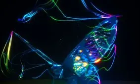 ابداع حسگری جدید با الهام از چشم پروانه برای دیدن سلول‌های سرطانی

