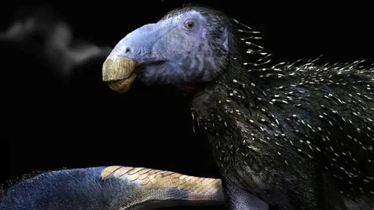 شناسایی گونه‌ ای جدید از دایناسورها با پوست خاردار در چین