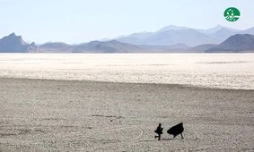 گَرد مرگ روی تالاب های فارس؛ افزایش بیماری های صعب العلاج و رشد آمار سرطان ها