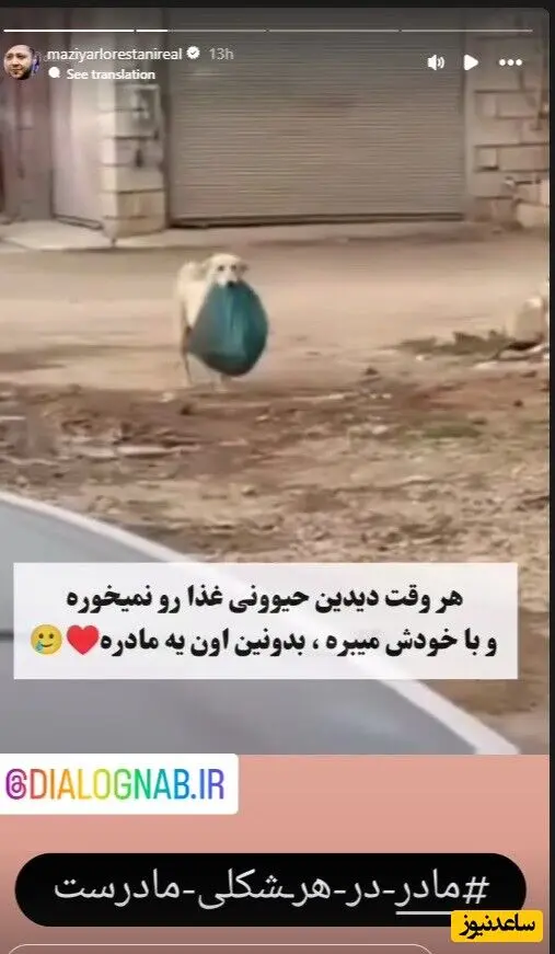 استوری مازیار لرستانی